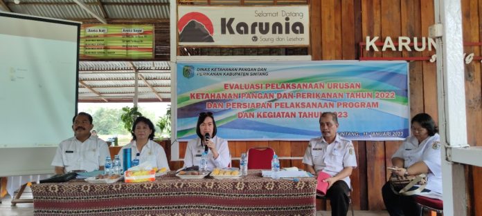 Sintang ( Evaluasi Kinerja DKPP)